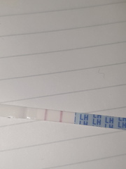 Any success stories of getting pregnant with irregular cycles?