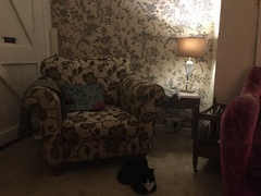 Please help settle argument between me and DH! Purple armchair yes or no?!