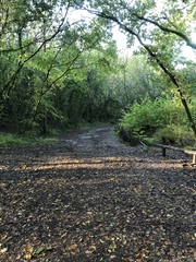 I want to move south and live near woods, where can I afford?