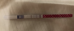 OPK line detection of early pregnancy??