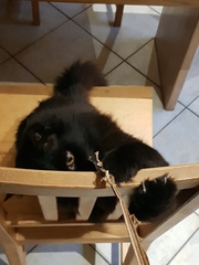 What's your DCat up to today? (Thread 7!)