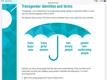 Safeguarding re transgenderism discussion thread