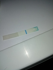 11dpo and BFN