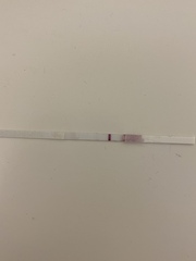Serial tester!