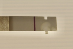 Line eyes - 12 DPO squinter or indent?