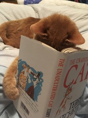 Thug Cat part 2. What, has this thing appeared again tonight?