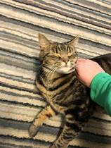 What's your DCat up to today? (Thread 7!)