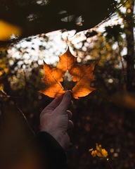 Any Witches Here? Part 10.