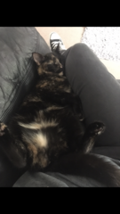 Smooshy belly thread.
