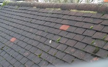 Dampness in loft space - advice needed