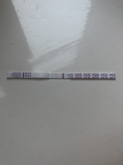 TTC after miscarriage - February 2020