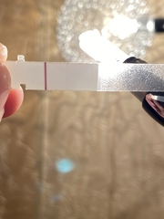 Clearblue vs first response pregnancy test