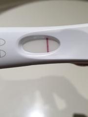 3 positive tests, then neg blood and urine. Now v faint positive on frer, help??