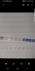 Pos opk 5dpo