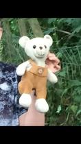 To help me find this teddy or similar