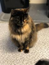 What's your DCat up to today? (Thread 7!)