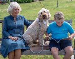 Royal style: forget all your stresses as we talk royal dresses