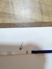 10dpo success stories?