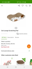 Help with recommended cat equipment please - I need everything, fast!