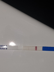 Its another squinter!
