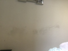 Damp wall???