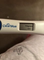 pregnancy tests