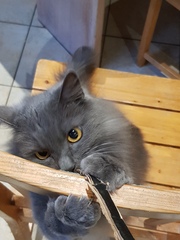 What's your DCat up to today? (Thread 7!)