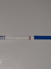 Its another squinter!