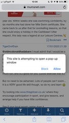 This Site is Attempting to Open a Pop-Up Window