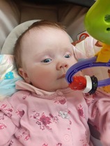 Small head/enlarged ventricles at 20 week anomaly scan - PLEASE READ