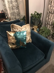 Velvet Sofas?