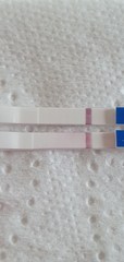 Irrational 2/3DPO 2ww'er welcome!!