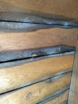 Dampness in loft space - advice needed