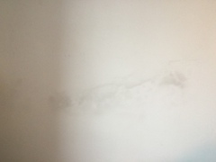 Damp wall???