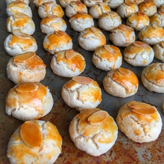 Westminstenders: The Final Week