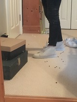 Shopping our Wardrobes! Outfit of the Day Thread