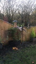 Are these birds taking the piss?