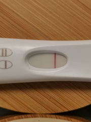 FREr line