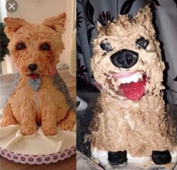 Fucking 70 quid for a cake????