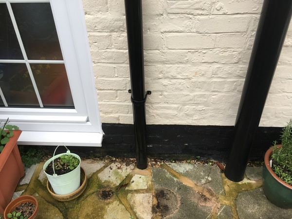 Damp is stopping me from getting my (long-dreamed-of) utility room!!!!