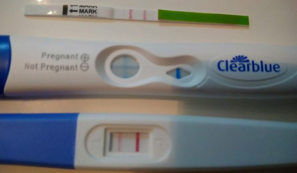 TWW Jan/Feb 2020