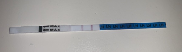 OPK line help please!