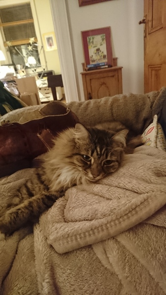 I've come here to cheer mumsnet up!