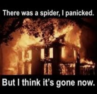 8-legged hairy mofo