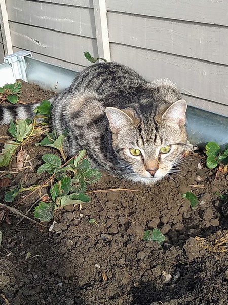 What's your DCat up to today? (Thread 7!)