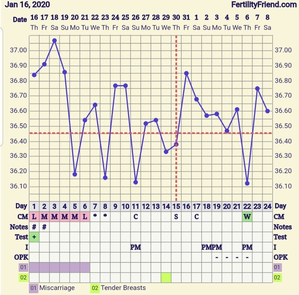 Trying to conceive first child with PCO/PCOS or irregular long cycles