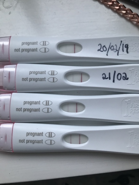 November 2020 Babies?