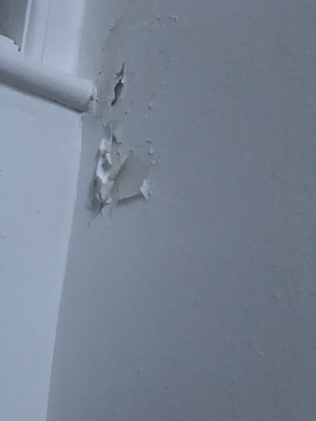 Help - DIY novice - peeling paint