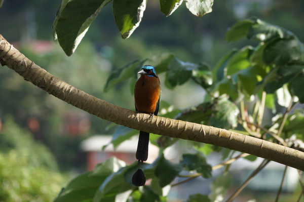 Frugal Friends Finding Financial Freedom In February