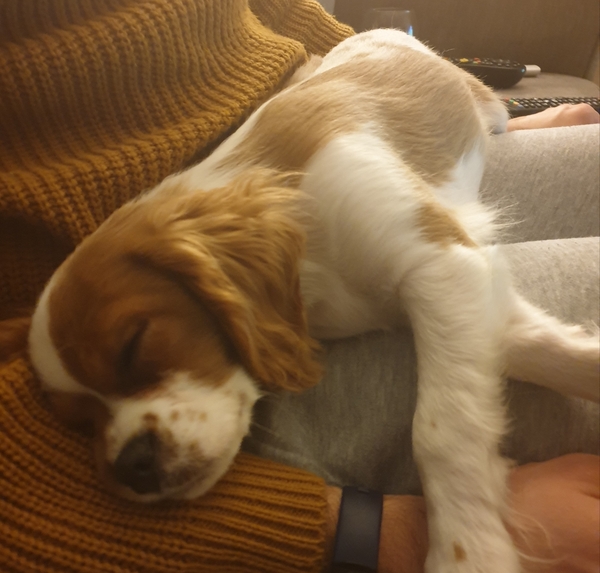 Let’s share photos of our beloved pets!!